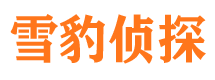 广平市场调查